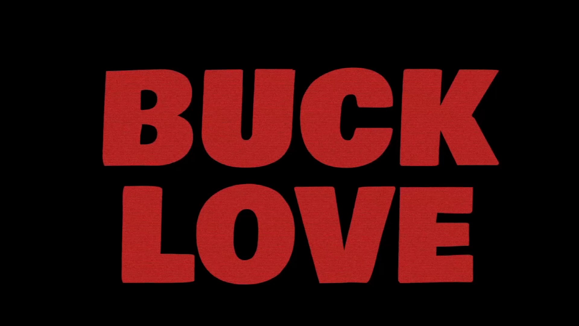Amys Big Wish Buck Love