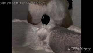 Balgagged doggo is fucked by a horny dominant furry